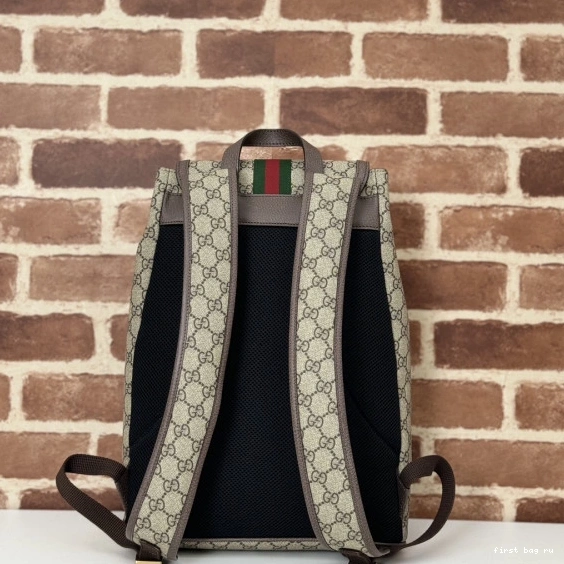 Firstbag ru OPHIDIA GUCCI BACKPACK SMALL GG 0820